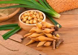 Kajian menunjukkan daun selom mempunyai kesanberikut kepada tubuh badan manusia cekur atau nama saintifiknya kaempferia galanga linn juga dikenali sebagai kencur. 4 Khasiat Hebat Herbal Temu Kunci Untuk Menunjang Kesehatan Tubuh Kegunaan Efek Samping Interaksi Hello Sehat