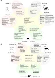 I successfully applied for one of the available programmes and universities but i can't see the university that i have been placed , yet my application was successfull and i was not to do second revision. Publicly Available Transcriptomes Provide The Opportunity For Dual Rna Seq Meta Analysis In Plasmodium Infection Biorxiv