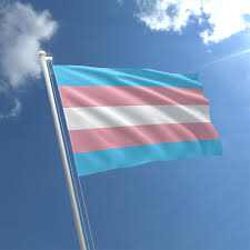 It has a black stripe in the middle instead of the original white stripe. Transgender Flag 3ft X 2ft Lgbt Flags The Flag Shop