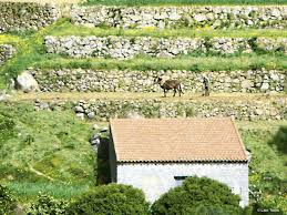 Unser 90minütiger spaziergang jedenfalls bot bunte. Algarve Und Seine Sehenswurdigkeiten