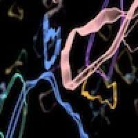 The Pointless Universe: the fascination of string theory