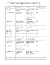 A nerve cell, for example, looks very different. Https Www Sac Edu Studentservices Eops Documents Biology 20study 20guide 203 20 20cell 20organelles Pdf