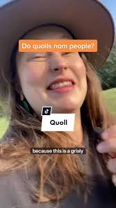 Have you seen a quoll? #australiananimals #quoll #marsupial #conservation  #science #history #kean4sci #nedkelly #australianhistory #bushranger  #learnontiktok #weirdanimalfacts #facts #tasmaniandevil ...