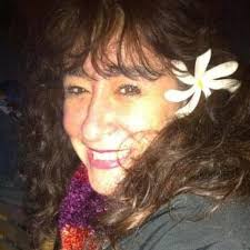 Do I need a CVI for flying with my dog from Minnesota to Texas?