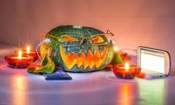 Halloween Bonanza