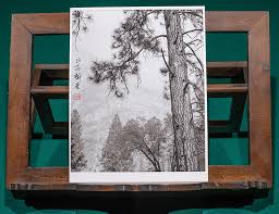Maybe you would like to learn more about one of these? The Online Photographer February 2021