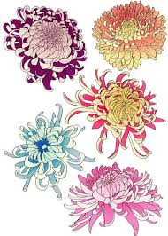 We did not find results for: Epingle Par Pilar Sur My Future Tattoo Projects Dessin Fleur Tatouage Chrysantheme Dessin Floral
