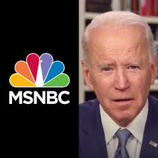 Shadow Government: MSNBC anchor takes the crown for the most ridiculous  thing you can say during a pandemic claiming Joe Biden should form a shadow  government to counter the President