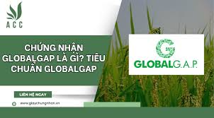 Chứng nhận GLOBALGAP là gì? Tiêu chuẩn GLOBALGAP