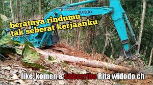 Tonton semua yang anda inginkan dengan youtube go. Excavator Kerja Kayu Balak Youtube
