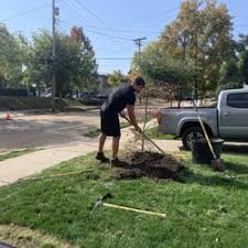 FRED ZAKRAJSEK STUMP REMOVAL