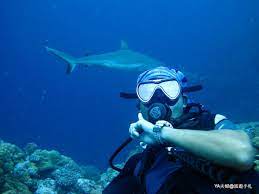 Kredit umožní i stahování neomezenou rychlostí. å¸›ç‰æ·±æ½›å¿…çœ‹ Diving In Palau æ½›æ°´åº—å®¶ä»‹ç´¹ç¯‡ Yaå¤«å©¦ æ—…éŠæ‰‹æœ­