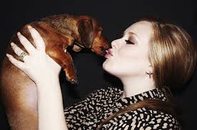 Maybe you would like to learn more about one of these? Papeis De Parede Adele Singer Cao Dachshund Mao Cabelo Castanhos Musica Meninas Celebridade Baixar Imagens