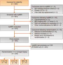 N0 no cancer can be seen in the lymph nodes. The Future Trial A Multicenter Randomised Controlled Trial On Target Biopsy Techniques Based On Magnetic Resonance Imaging In The Diagnosis Of Prostate Cancer In Patients With Prior Negative Biopsies European Urology