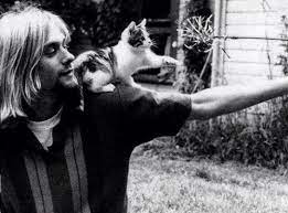 kurt cobain kurt cobain cat people crazy cat lady