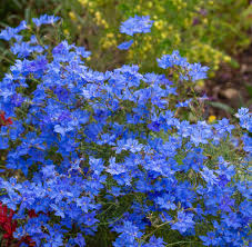 ガーデンストーリー