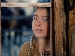 The Illustrated Little House