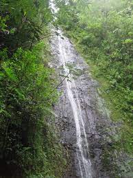 Manoa Falls Trail Manoa Falls Manoa Falls Oahu Honalulu Hawaii