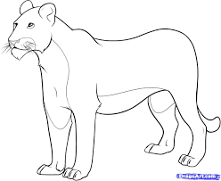 For boys and girls, kids and adults, teenagers and toddlers, preschoolers and older kids at school. Female Lion Coloring Pages How To Draw A Lioness Step 8 Lion Coloring Pages Lion Coloring Lion Coloring Page