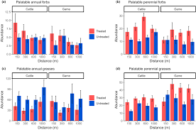 Image result for Megaloprotachne albescens