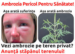 We did not find results for: Stop Ambrozie Moldova Posts Facebook
