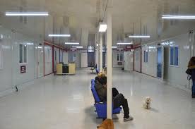 Istanbul Universitesi Cerrahpasa