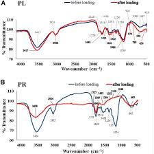 Image result for Vossia cuspidata