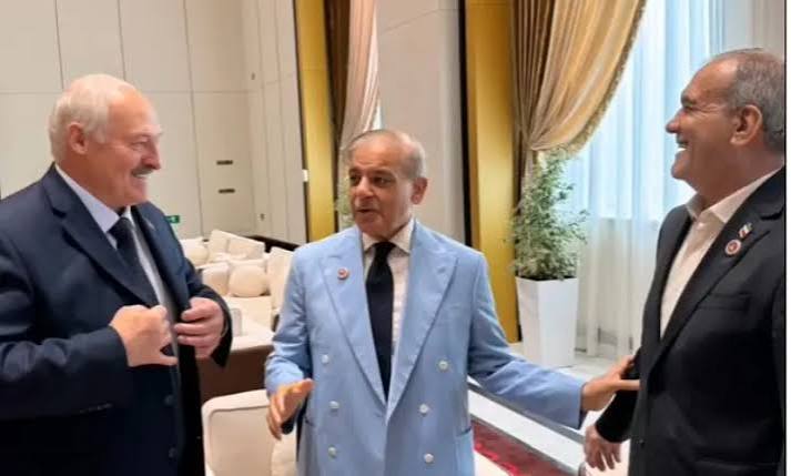 PM Shehbaz meets Xi, Putin, Erdogan on SCO sidelines