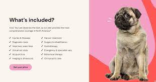 All things petplan pet insurance in one place! Best Pet Insurance In Canada For 2021 Savvy New Canadians