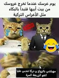 Hhh Me Funny Pictures Funny Memes Funny Jokes