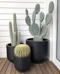 Pin By Joyce On Outdoor Spaces Potted Plants Outdoor Plant Decor Plants