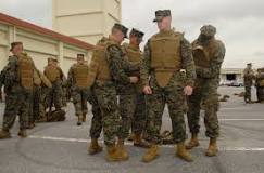 Modular Tactical Vest - Wikipedia