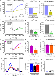 Image result for Mibefradil
