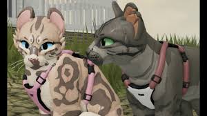 Yep, and that's why erin hunter haven't written much from the books since omen of the stars. Download The Future Of Warrior Cats Ultimate Edition Roblox Part 2 Daily Movies Hub