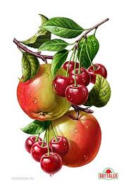 Inorama Illustrators Illustration De Fruits Dessin Fruits Recette Illustree