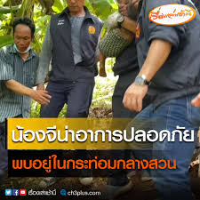 We did not find results for: Myznof13y3vrsm