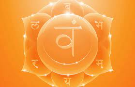 The holy womb chakra is a primary resting. Chakras 101 The Womb