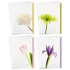 While it's not always easy to know what to say to a person who fresh cut flowers are the most popular choice for sympathy bouquets. Hallmark Assorted Sympathy Cards Flowers 12 Cards And Envelopes Walmart Com Walmart Com