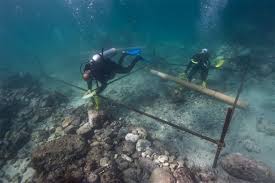 Nur ein kurzer einblick in die kabinen & suiten der vasco da g. Versunkenes Schiff Von Vasco Da Gama Gefunden Von Da Gamas Onkel Befehligte Esmeralda Versank 1503 Vor Der Kuste Von Oman Scinexx De