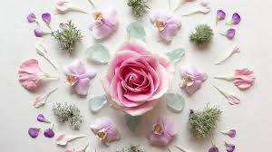 Flower Decoration Wallpaper Best Hd Wallpapers Flower Mandala Floral Photography Floral Art