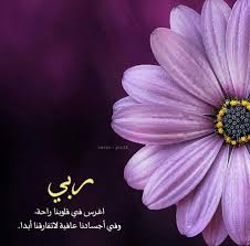 Download اقوال وحكم apk android game for free to your android phone. Ø®Ù„ÙÙŠØ§Øª ÙˆØ±Ù…Ø²ÙŠØ§Øª ÙØ§ÙŠØ¨Ø± 2017 Ù…ÙƒØªÙˆØ¨ Ø¹Ù„ÙŠÙ‡Ø§ Ø§Ù‚ÙˆØ§Ù„ ÙˆØ­ÙƒÙ… Ù…ÙŠÙƒØ³Ø§ØªÙƒ