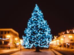 Help The Community By Enjoying The Kiwanis Holiday Lights In Mankato Re Max Results Christmas Fun Holiday Christmas