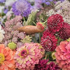 Maybe you would like to learn more about one of these? Tips For The Best Northern California Cutting Garden Finegardening