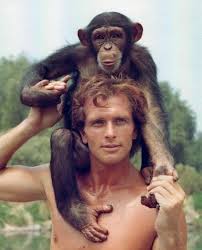 Heróis da Televisão - Ron Ely o Tarzan gente boa de nossa infância faz aniversário no dia 21 de Junho ! A série Tarzan foi gravada de 1966 a 1968 . As