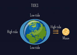 Low And High Lunar Tides Diagram Vector Premium Download