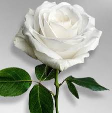 Edward Kays Obituary (2025)