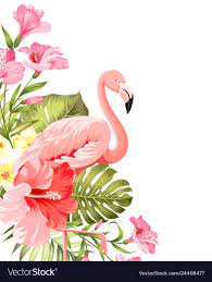 Flamingo Background Design Tropical Flowers Vector Image Tropical Flowers Illustration Flamingo Illustration Flamingo Wallpaper