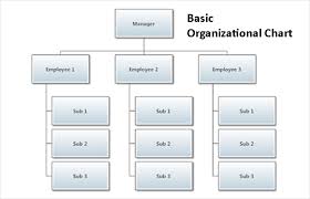 organizational chart create an organizational chart with