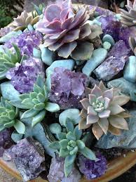The Perfect Garden Guide Gardening With Confidence Succulents Plants Planting Succulents
