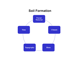 Desorption is the release of adsorbed p from its bound state into the soil solution. Soil Formation